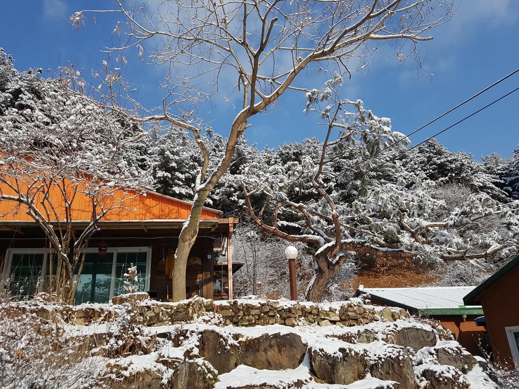 Bluesky Pension Pocheon Exterior foto