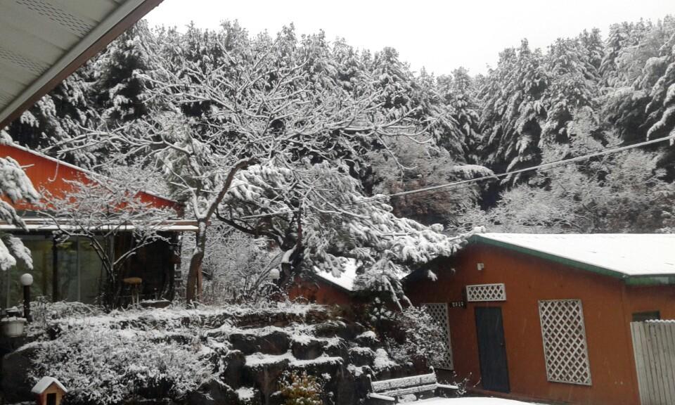Bluesky Pension Pocheon Exterior foto
